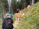 Mariazell (20)